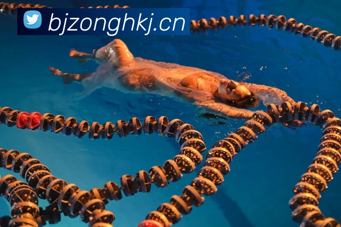 数据防护可视化